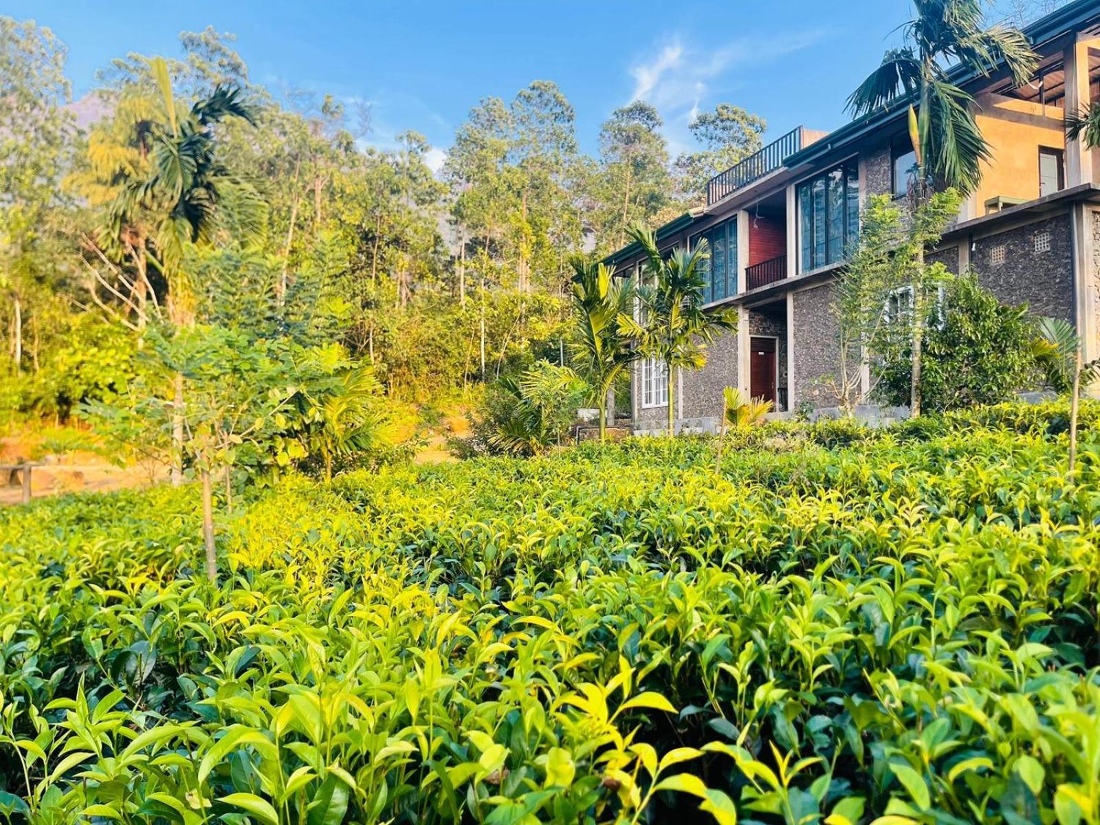 Palabaddala Tea And Eco Lodge Ratnapura Exterior photo